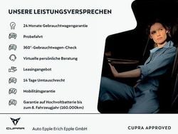 Grau Gebraucht 2025 Cupra Ateca SUV | 31.890 € (Guter Preis)
