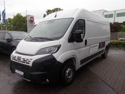 Weiss Gebraucht 2025 Fiat Ducato Van | 36.590 € (Teuer)