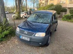 VW T5