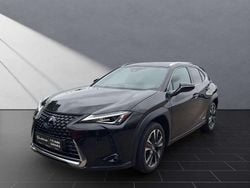 Graphitschwarz Gebraucht 2022 Lexus UX 250h SUV | 27.948 € (Fairer Preis)
