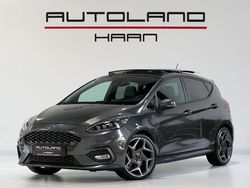 Grau Gebraucht 2018 Ford Fiesta Performance Edition Kleinwagen | 19.950 € (Etwas zu teuer)