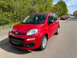 Rot Gebraucht 2013 Fiat Panda Kleinwagen | 5.790 € (Fairer Preis)