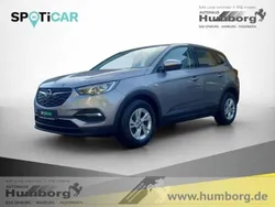 Grau Gebraucht 2018 Opel Grandland X Selection SUV | 11.886 € (Teuer)