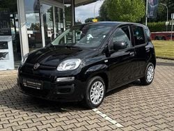 Cinema schwarz Neu 2025 Fiat Panda Kleinwagen | 13.970 € (Guter Preis)