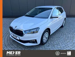 Moonweiß metallic Neu 2025 Skoda Fabia Selection Kleinwagen | 21.890 € (Guter Preis)