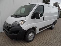 Casablancaweiß Gebraucht 2023 Opel Movano Van | 21.500 € (Superpreis)