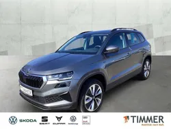 Grau Neu 2025 Skoda Karoq Tour SUV | 35.895 € (Fairer Preis)