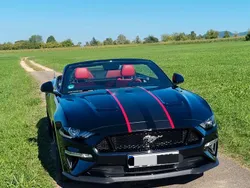 Schwarz Gebraucht 2019 Ford Mustang GT Coupé | 41.500 € (Guter Preis)