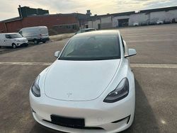 Weiß Neu 2025 Tesla Model Y SUV | 47.990 € (Guter Preis)