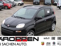 Schwarz Gebraucht 2024 Fiat Panda Kleinwagen | 14.880 € (Etwas zu teuer)