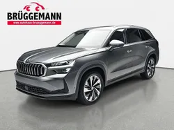 Grau Gebraucht 2024 Skoda Kodiaq Selection SUV | 48.990 € (Fairer Preis)