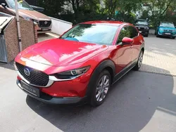 Rot Gebraucht 2023 Mazda CX-30 Selection SUV | 21.950 € (Superpreis)