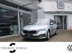 Silber Gebraucht 2020 Skoda Octavia First Edition Kombi | 17.930 € (Etwas zu teuer)