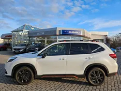 Weiß Gebraucht 2024 Subaru Forester Exclusive+ SUV | 36.990 € (Fairer Preis)
