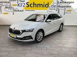 Moonweiss metallic Gebraucht 2024 Skoda Octavia Kombi | 35.900 € (Guter Preis)
