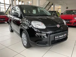 Schwarz Neu 2024 Fiat Panda Kleinwagen | 15.500 € (Fairer Preis)
