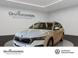 Weiß Gebraucht 2023 Skoda Octavia Ambition Kombi | 25.777 € (Guter Preis)