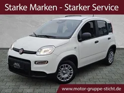 Gelato weiß Neu 2025 Fiat Panda Kleinwagen | 13.950 €
