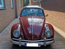 Rot Gebraucht 1964 VW Käfer Kleinwagen | 13.499 €