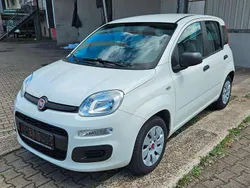 Weiß Gebraucht 2016 Fiat Panda Kleinwagen | 6.499 € (Fairer Preis)