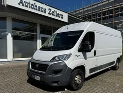 Weiß Gebraucht 2017 Fiat Ducato Van | 8.999 € (Fairer Preis)
