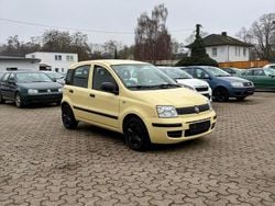 Gelb Gebraucht 2012 Fiat Panda Kleinwagen | 2.290 € (Guter Preis)