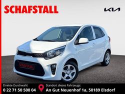 Weiss ((ud) schneeweiss) Gebraucht 2024 Kia Picanto Vision Kleinwagen | 15.479 € (Fairer Preis)