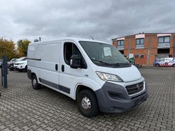 Bianco Gebraucht 2015 Fiat Ducato Van | 5.999 € (Etwas zu teuer)