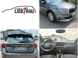 Grau Gebraucht 2025 Skoda Fabia Selection Limousine | 21.950 € (Fairer Preis)