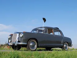 Grau Gebraucht 1955 Mercedes A220 Limousine | 37.000 €
