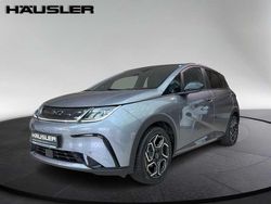 Time grey Neu 2025 BYD Dolphin Design Kleinwagen | 29.990 € (Fairer Preis)