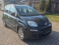Schwarz Gebraucht 2013 Fiat Panda Kleinwagen | 6.100 € (Fairer Preis)