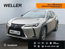 Silber Gebraucht 2022 Lexus UX 300e SUV | 29.950 € (Etwas zu teuer)