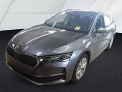 Grau Gebraucht 2024 Skoda Octavia Selection Kombi | 34.789 € (Teuer)
