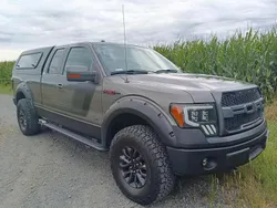 Grau Gebraucht 2015 Ford F-150 Raptor Abholung | 25.900 €
