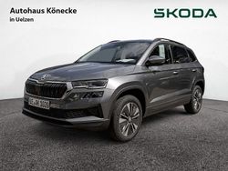Grau Gebraucht 2025 Skoda Karoq Tour SUV | 37.470 € (Fairer Preis)