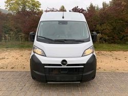 Weiß Gebraucht 2024 Opel Movano Van | 16.200 €