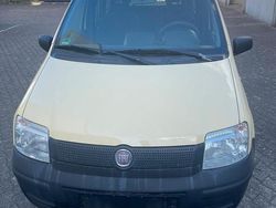 Gelb Gebraucht 2009 Fiat Panda Kleinwagen | 2.000 € (Fairer Preis)