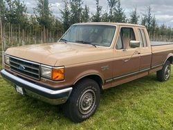 Braun Gebraucht 1991 Ford F250 Lariat Abholung | 21.499 €