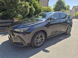 Schwarz Gebraucht 2023 Lexus NX350h E-FOUR SUV | 44.500 €