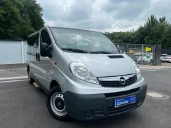 Silber Gebraucht 2008 Opel Vivaro Van | 8.700 € (Teuer)