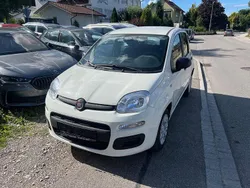 Weiß Neu 2025 Fiat Panda Kleinwagen | 13.450 € (Guter Preis)