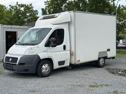 Weiß Gebraucht 2015 Fiat Ducato Van | 8.999 € (Fairer Preis)