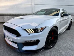 Grau Gebraucht 2017 Ford Shelby | 63.999 €