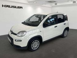 Weiß Gebraucht 2024 Fiat Panda Kleinwagen | 13.990 € (Fairer Preis)