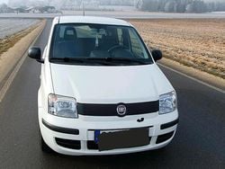 Weiß Gebraucht 2011 Fiat Panda Kleinwagen | 1.500 € (Superpreis)