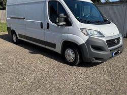 Weiß Gebraucht 2015 Fiat Ducato Van | 8.800 € (Etwas zu teuer)
