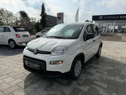 Weiß Neu 2025 Fiat Panda Kleinwagen | 14.440 €