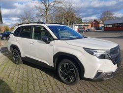 Weiß Gebraucht 2025 Subaru Forester Exclusive+ SUV | 40.990 € (Fairer Preis)