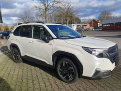 Weiß Neu 2025 Subaru Forester Exclusive+ SUV | 46.288 € (Etwas zu teuer)
